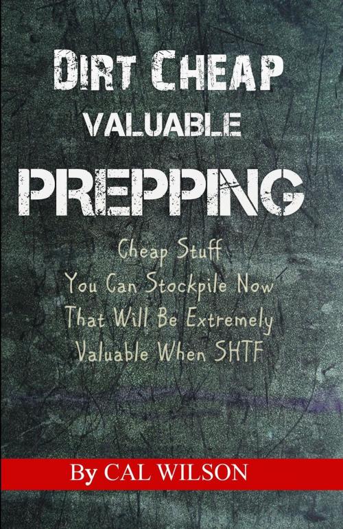 Cover of the book Dirt Cheap Valuable Prepping by Cal Wilson, Cal Wilson