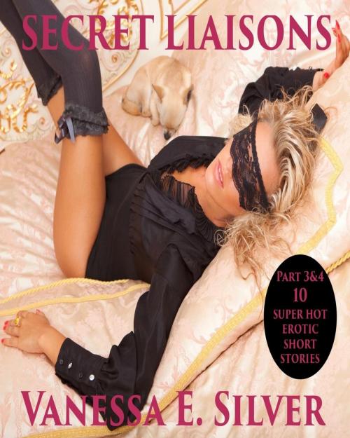 Cover of the book Secret Liaisons Part 3 & 4 - 10 Super Hot Erotic Short Stories by Vanessa E Silver, LB Books