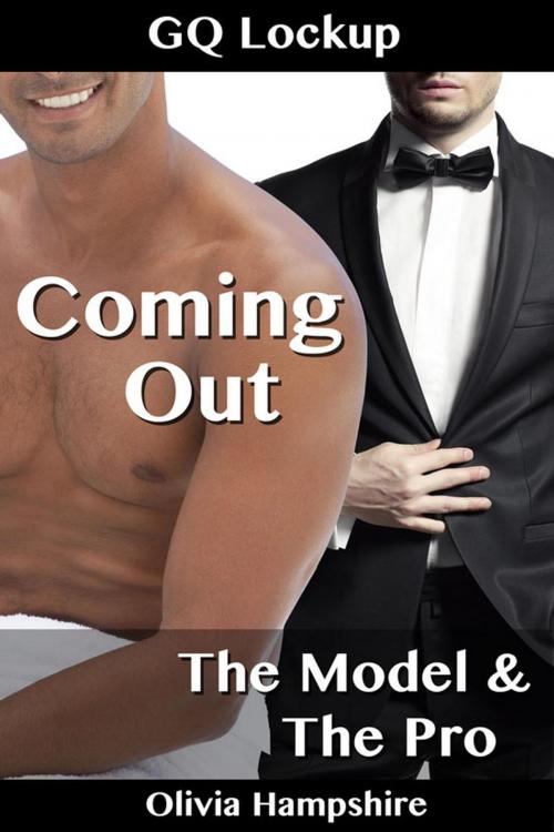 Cover of the book The Model and the Pro by Olivia Hampshire, SB Books