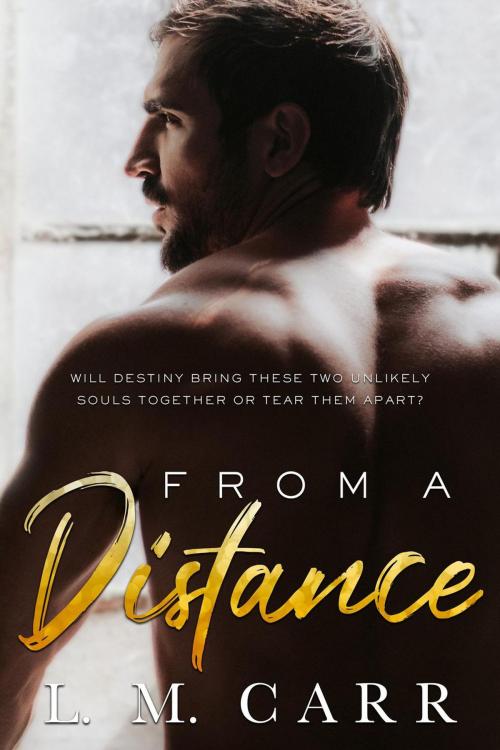 Cover of the book From A Distance by L.M. Carr, L.M. Carr