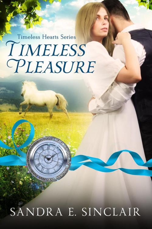 Cover of the book Timeless Pleasure by Sandra E Sinclair, Sandra E Sinclair