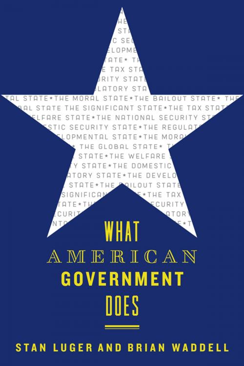 Cover of the book What American Government Does by Stan Luger, Brian Waddell, Johns Hopkins University Press