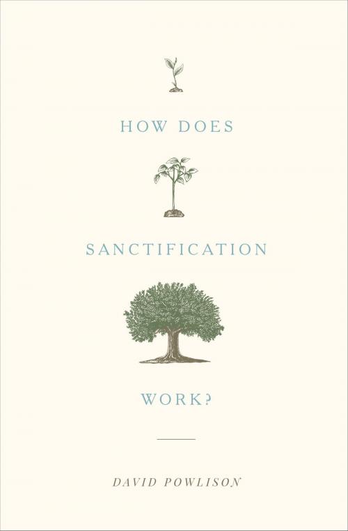 Cover of the book How Does Sanctification Work? by David Powlison, Crossway