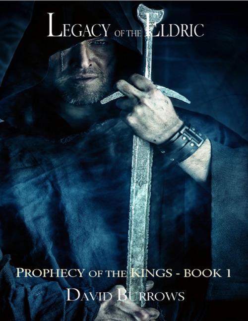 Cover of the book Legacy of the Eldric - Book 1 of the Prophecy of the Kings by David Burrows, Lulu.com