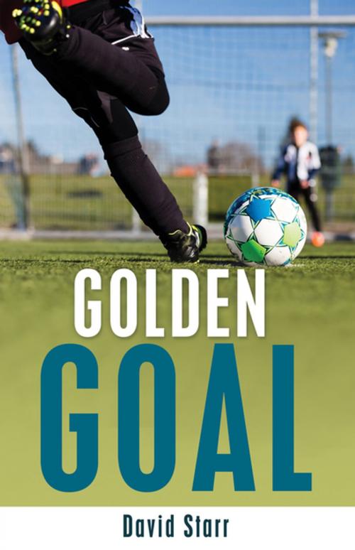 Cover of the book Golden Goal by David Starr, James Lorimer & Company Ltd., Publishers