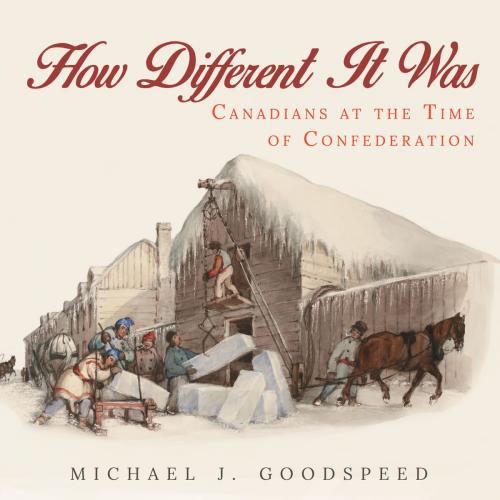 Cover of the book How Different It Was by Michael J. Goodspeed, Dundurn