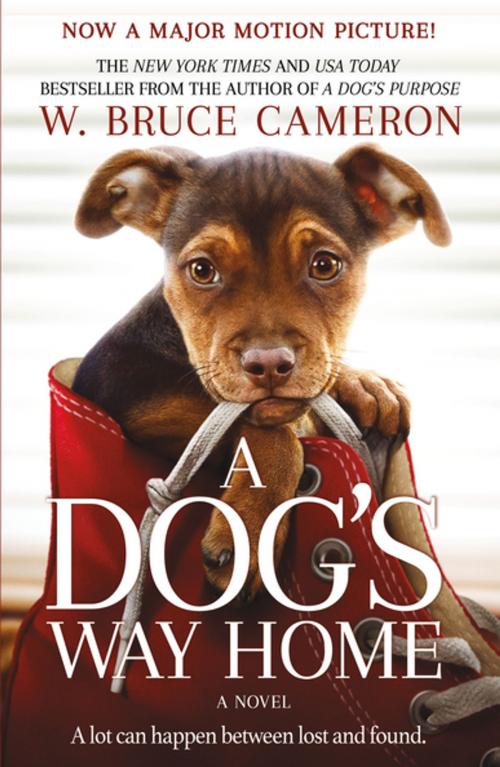 Cover of the book A Dog's Way Home by W. Bruce Cameron, Tom Doherty Associates
