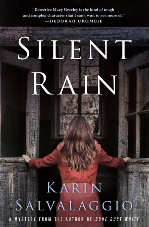 Cover of the book Silent Rain by Karin Salvalaggio, St. Martin's Press
