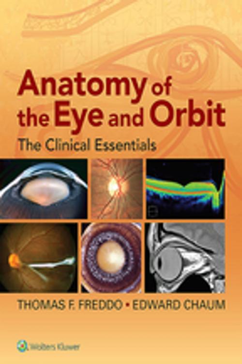 Cover of the book Anatomy of the Eye and Orbit by Thomas F. Freddo, Edward Chaum, Wolters Kluwer Health