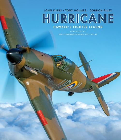 Cover of the book Hurricane by John Dibbs, Tony Holmes, Mr Gordon Riley, Bloomsbury Publishing