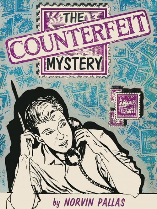 Cover of the book The Counterfeit Mystery by Norvin Pallas, Wildside Press LLC