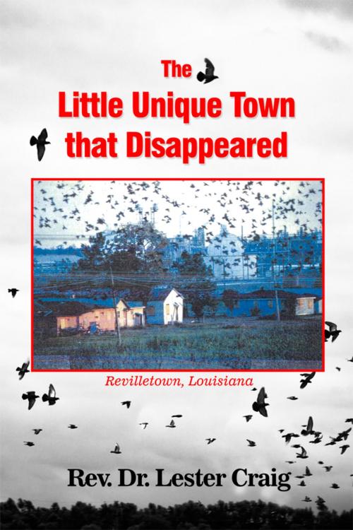 Cover of the book The Little Unique Town that Disappeared by Rev. Dr. Lester Craig, Dorrance Publishing