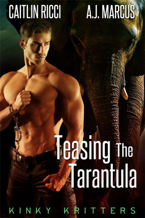 Cover of the book Teasing the Tarantula by Caitlin Ricci, A.J. Marcus, eXtasy Books Inc