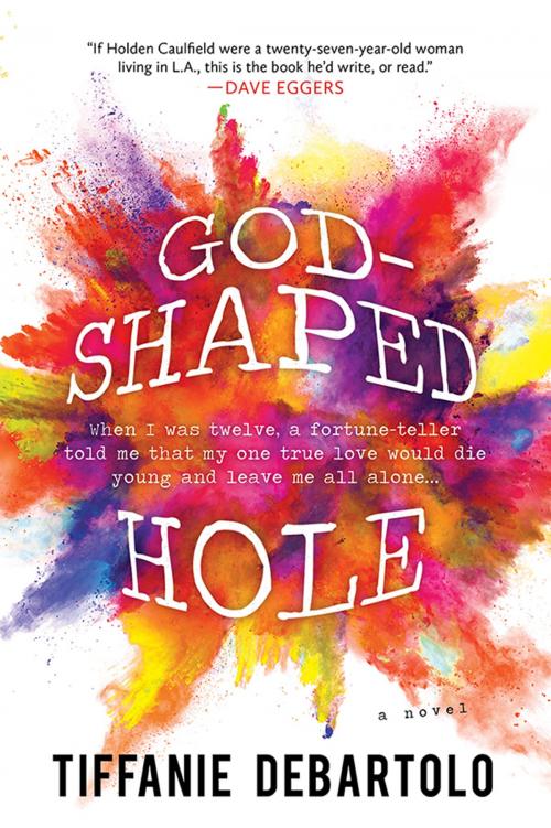 Cover of the book God-Shaped Hole by Tiffanie DeBartolo, Sourcebooks
