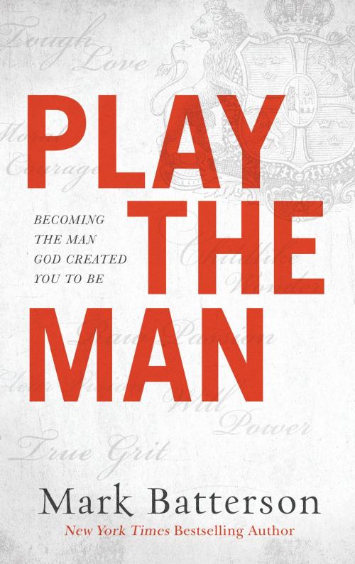 Cover of the book Play the Man by Mark Batterson, Baker Publishing Group