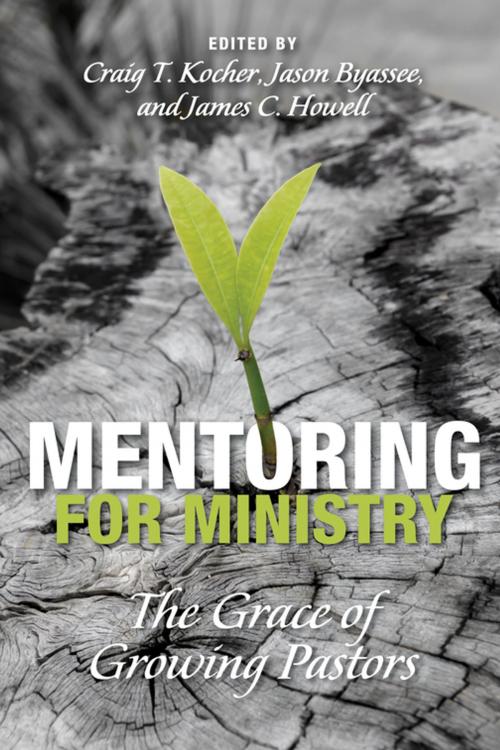 Cover of the book Mentoring for Ministry by , Wipf and Stock Publishers