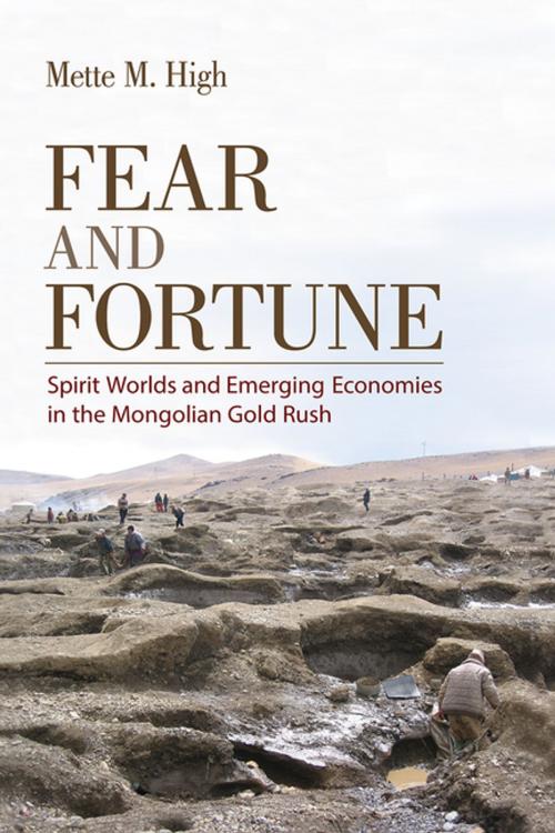 Cover of the book Fear and Fortune by Mette M. High, Cornell University Press