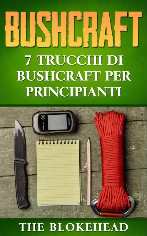 Cover of the book Bushcraft: 7 Trucchi di Bushcraft per Principianti by The Blokehead, Babelcube Inc.