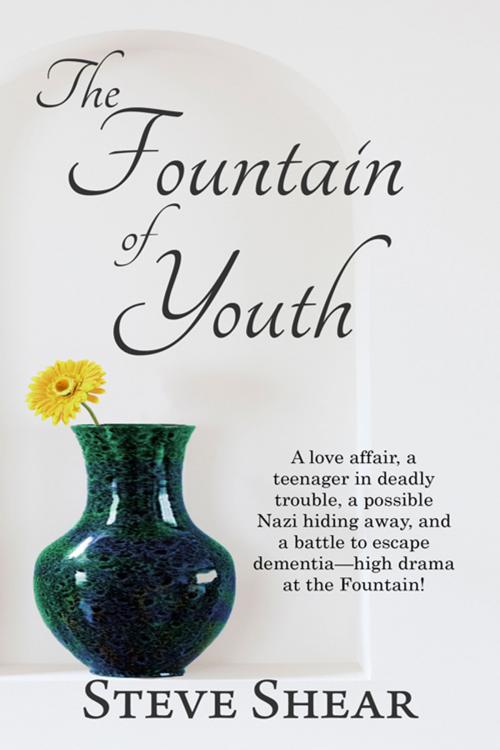 Cover of the book The Fountain of Youth by Steve  Shear, The Wild Rose Press, Inc.