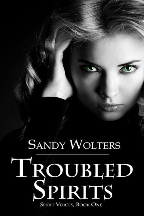 Cover of the book Troubled Spirits by Sandy  Wolters, The Wild Rose Press, Inc.