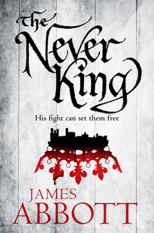 Cover of the book The Never King by James Abbott, Pan Macmillan