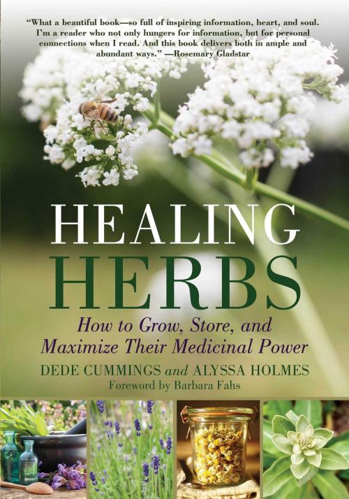 Cover of the book Healing Herbs by Dede Cummings, Alyssa Holmes, Skyhorse