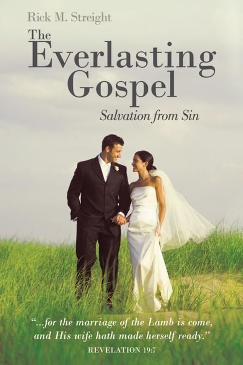 Cover of the book The Everlasting Gospel by Rick M. Streight, WestBow Press