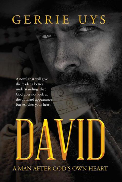 Cover of the book David by Gerrie Uys, WestBow Press