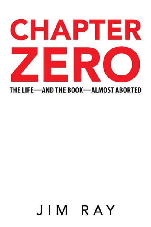 Cover of the book Chapter Zero by Jim Ray, WestBow Press