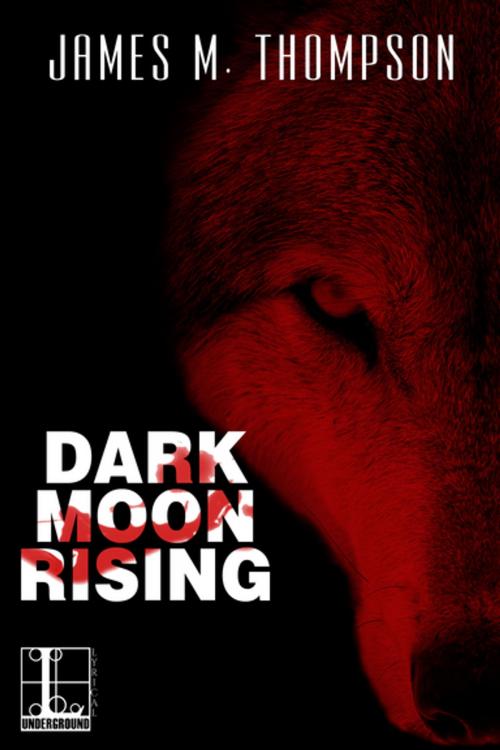 Cover of the book Dark Moon Rising by James M. Thompson, Lyrical Press