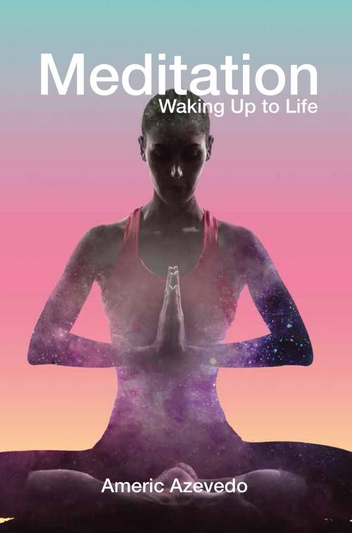 Cover of the book Meditation by Americ Azevedo, Cognella Press