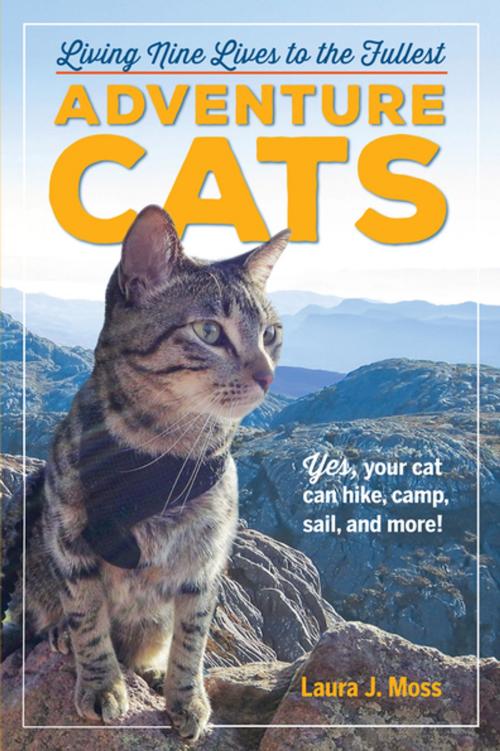 Cover of the book Adventure Cats by Laura J. Moss, Workman Publishing Company