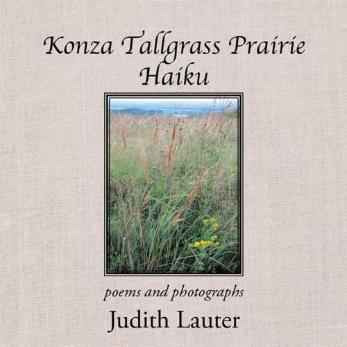 Cover of the book Konza Tallgrass Prairie Haiku by Judith Lauter, Xlibris US