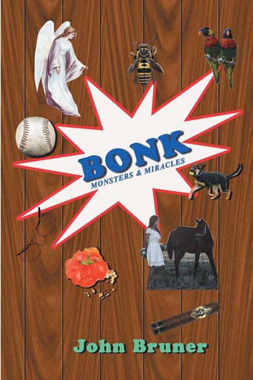 Cover of the book Bonk by John Bruner, Xlibris US