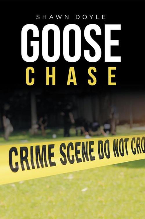 Cover of the book Goose Chase by Shawn Doyle, iUniverse