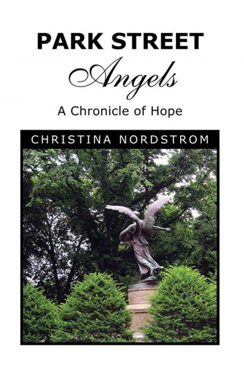 Cover of the book Park Street Angels by Christina Nordstrom, Xlibris US
