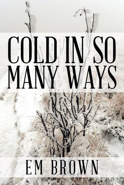 Cover of the book Cold in so Many Ways by EM Brown, Xlibris US