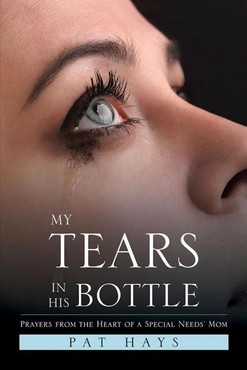 Cover of the book My Tears in His Bottle by Pat Hays, Xlibris US