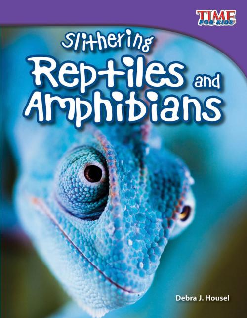 Cover of the book Slithering Reptiles and Amphibians by Debra J. Housel, Teacher Created Materials