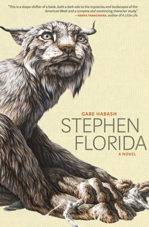 Cover of the book Stephen Florida by Gabe Habash, Coffee House Press