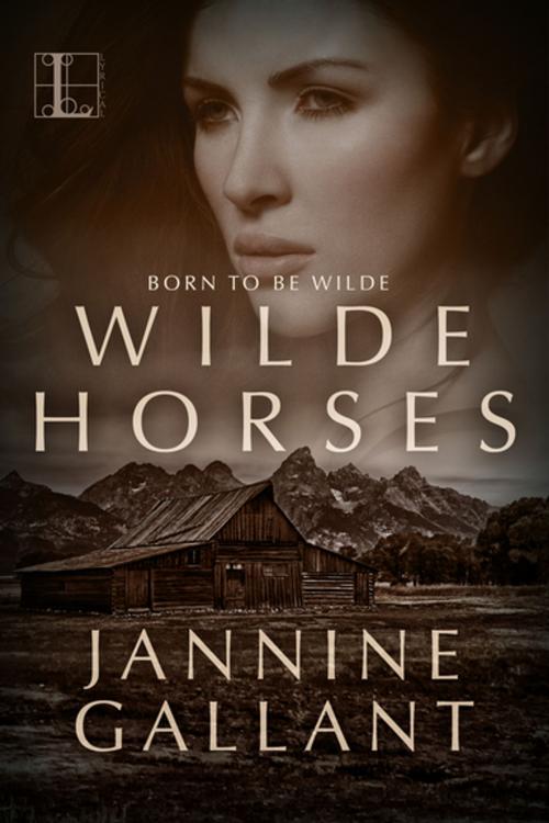 Cover of the book Wilde Horses by Jannine Gallant, Lyrical Press