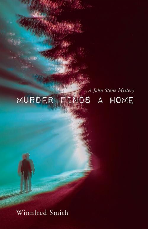 Cover of the book Murder Finds a Home by Winnfred Smith, Lanier Press