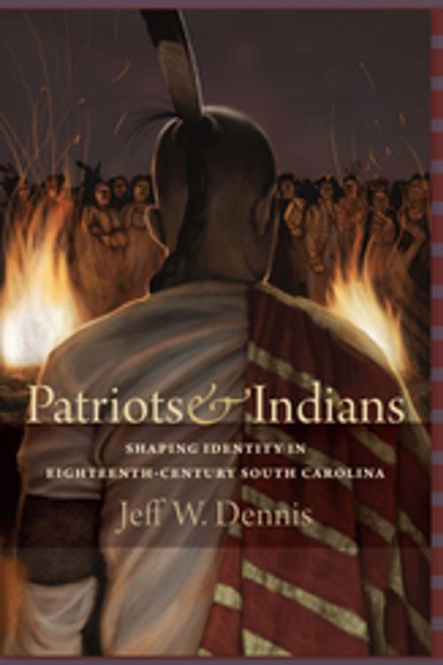 Cover of the book Patriots and Indians by Jeff W. Dennis, University of South Carolina Press