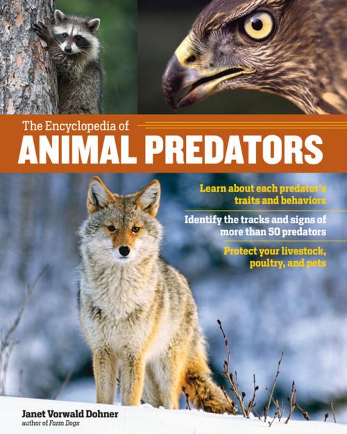 Cover of the book The Encyclopedia of Animal Predators by Janet Vorwald Dohner, Storey Publishing, LLC