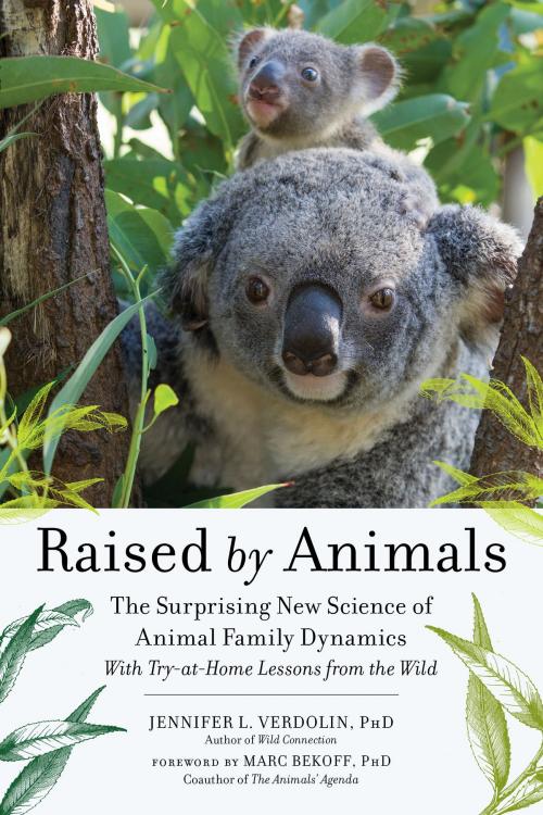 Cover of the book Raised by Animals by Jennifer L. Verdolin PhD, The Experiment