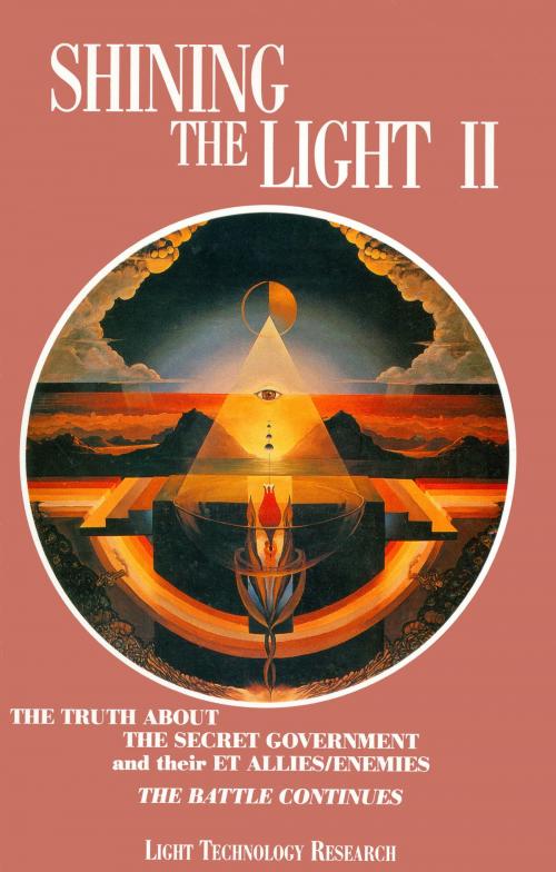 Cover of the book Shining the Light II by Robert Shapiro, Arthur Fanning, Light Technology Publishing
