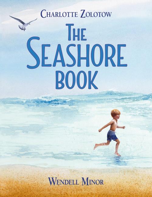 Cover of the book The Seashore Book by Charlotte Zolotow, Charlesbridge