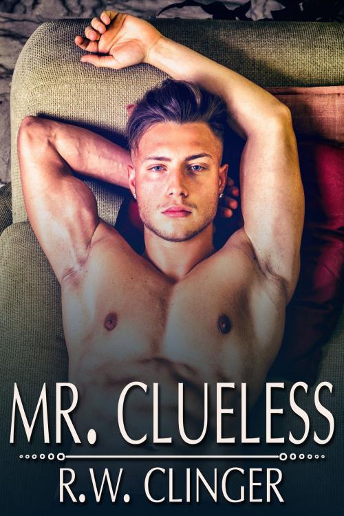 Cover of the book Mr. Clueless by R.W. Clinger, JMS Books LLC