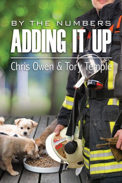 Cover of the book By the Numbers: Adding it Up by Tory Temple, Chris Owen, Dreamspinner Press
