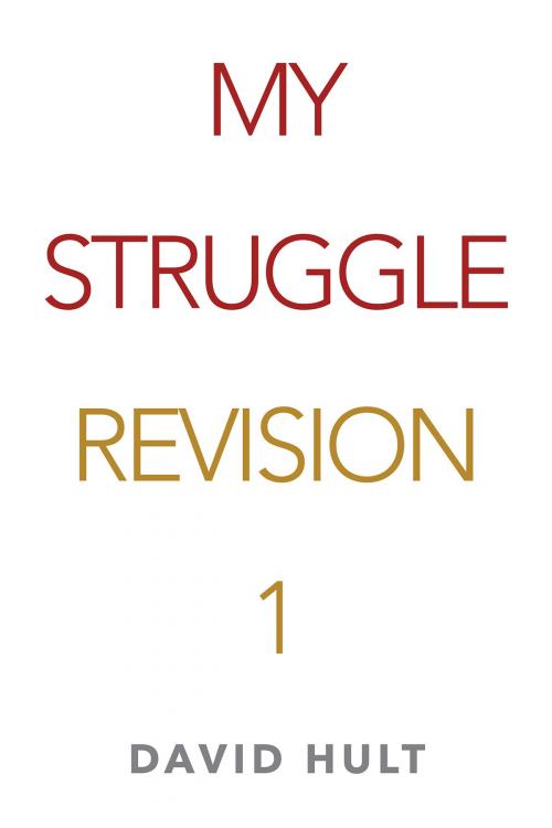 Cover of the book My Struggle by David Hult, Page Publishing, Inc.
